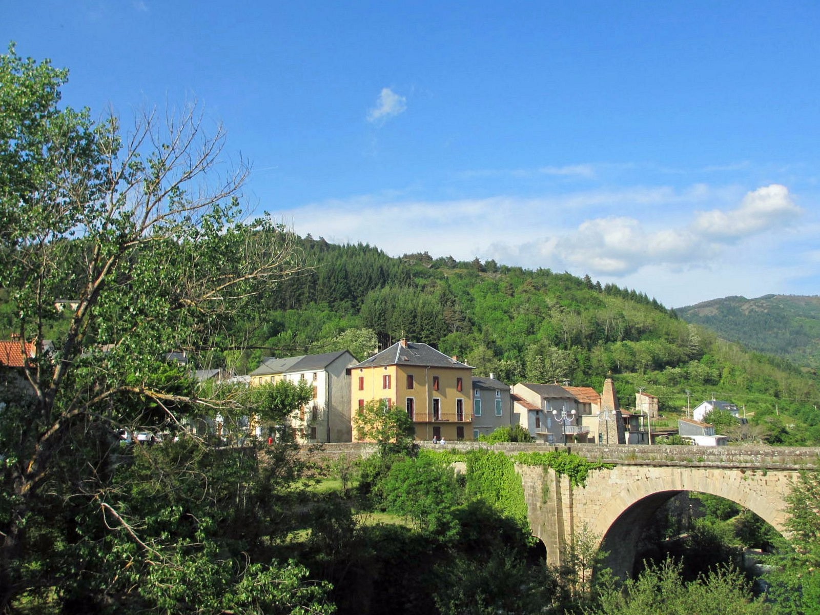 Hôtel du Midi Papillon, Hôtel à Saint-Jean-du-Bruel
