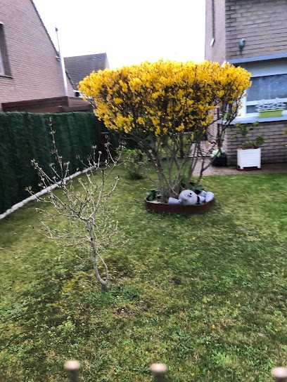 Chouya Mohamed, Hôtel à Tourcoing