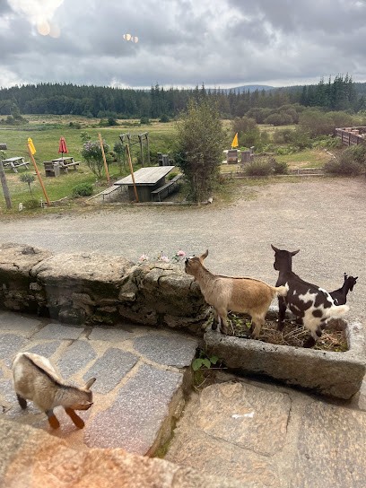 Gite equestre Vergne Redonde, Hôtel à La Salvetat-sur-Agout