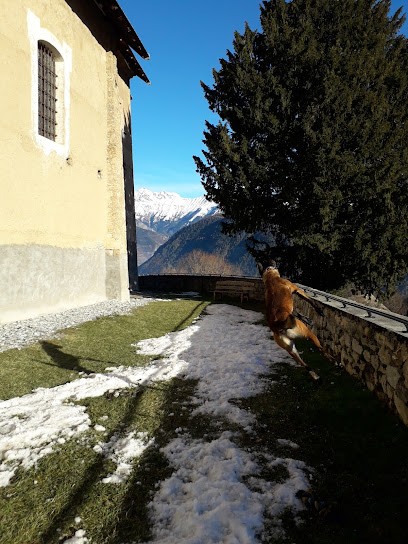 Hôtel Restaurant Des Ors, Hôtel à Romans-sur-Isère