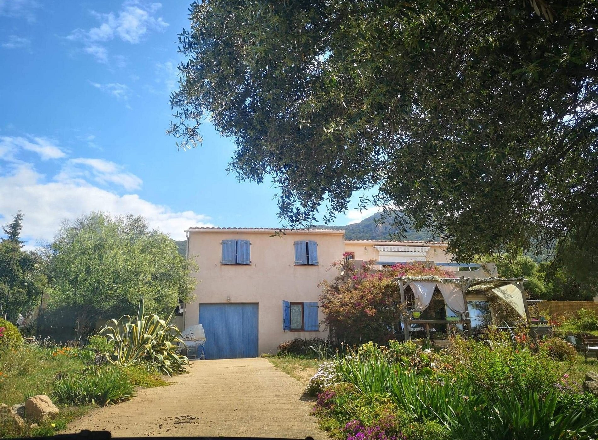 B&B Macchia Verdata avec piscine, Hôtel à Monacia-d'Aullène