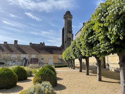 Hôtel Le Savoie Villars, Hôtel au Grand-Pressigny