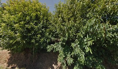 Gite Le Bourgeoreille, Hôtel au Cambout