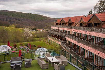 Hotel & Spa Les Violettes En Alsace, Hôtel à Jungholtz