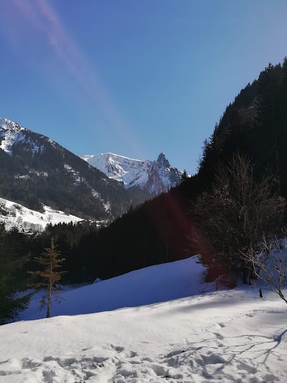 Les Résidences de l'Etale, Hôtel à Manigod