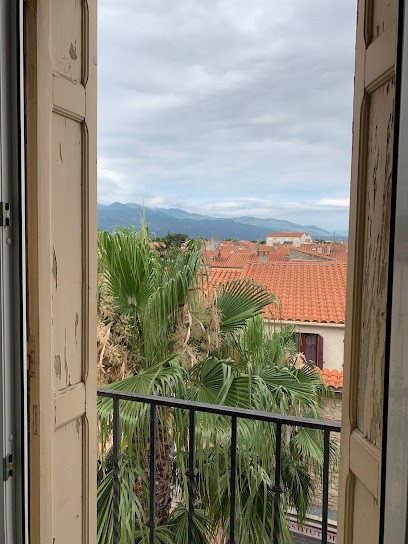 Hotel Le Centre, Hôtel au Boulou