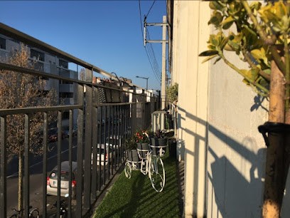 Hôtel Alcyon, Hôtel à Saumur