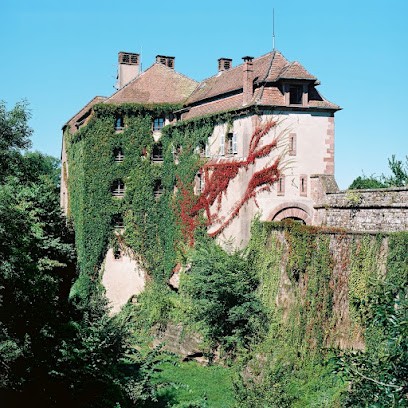 La Clairiere Bio & Spa Hotel, Hôtel à La Petite-Pierre