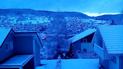 Chalet des 4 saisons, Hôtel à Gérardmer