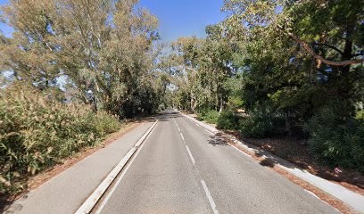 V.V.F DE Borgo, Hôtel à Borgo