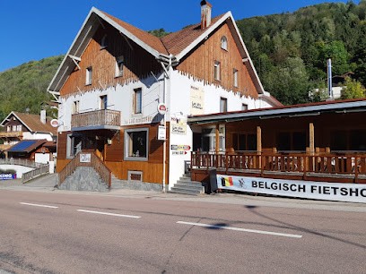 Fietsen In De Vogezen, Hôtel à La Bresse