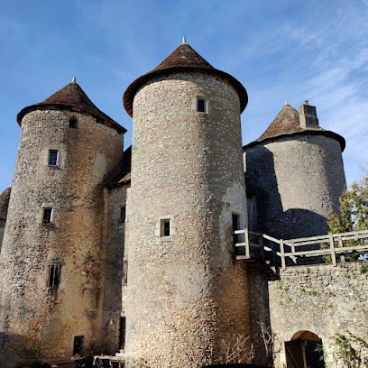 Chateau De Forges, Hôtel à Concremiers