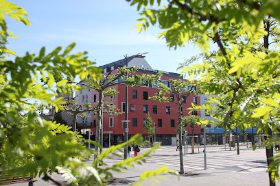 The Originals Boutique, Hôtel D'Alsace, Strasbourg Sud, Hôtel à Illkirch-Graffenstaden