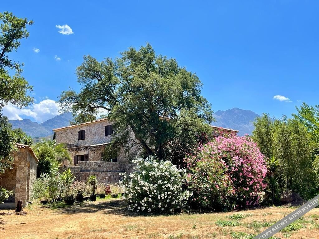 Domaine du Reginu, Hôtel à Feliceto