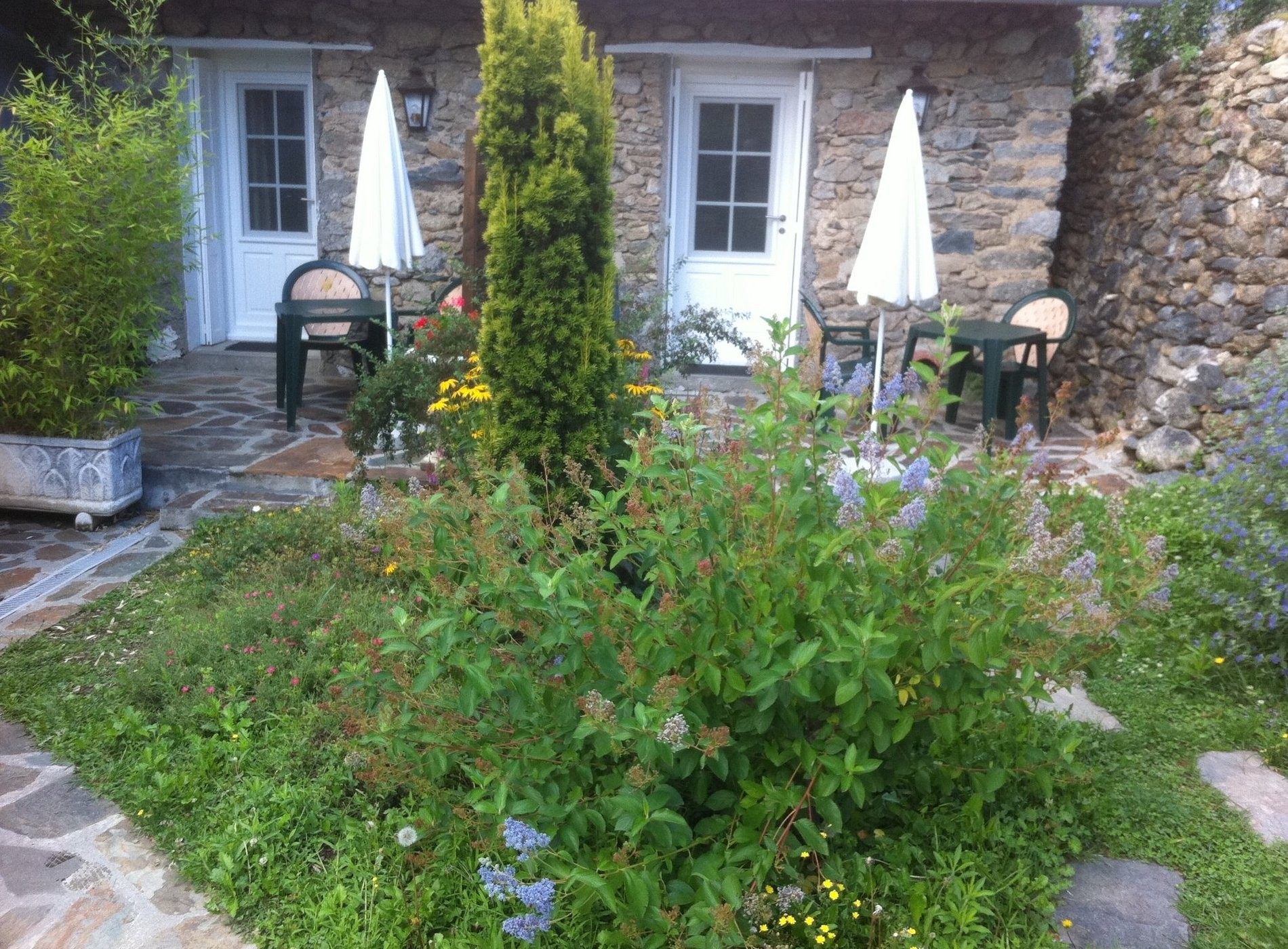 Logis Hôtel le Bellevue Rest. Bellavista, Hôtel à Prats-de-Mollo-la-Preste