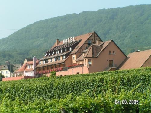 Hôtel Relais Du Vignoble, Hôtel à Gueberschwihr
