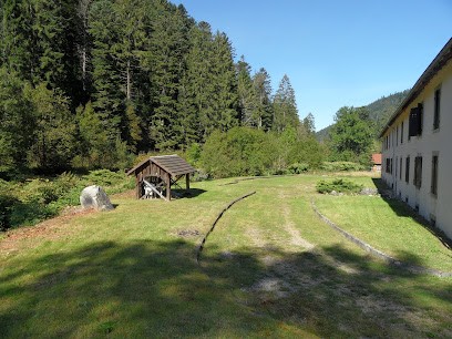 Le Petit Kichon (location de vacances à Gerardmer), Hôtel à Gérardmer