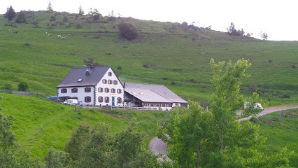 Ferme Auberge Kahlenwasen, Hôtel à Luttenbach-près-Munster