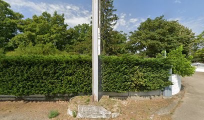 Logis Hôtel De France, Hôtel à Chonas-l'Amballan