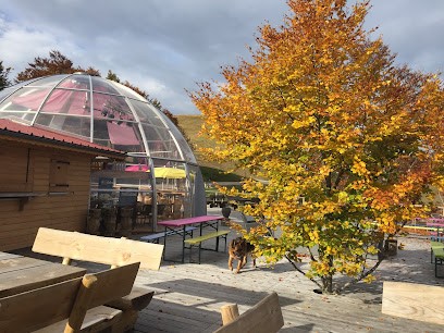 Hôtel Restaurant Wolf, Hôtel à Lautenbach