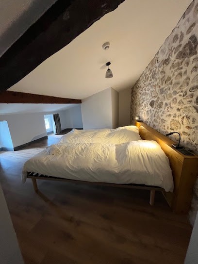 Le Leo De Foix - Auberge, Hôtel à Foix