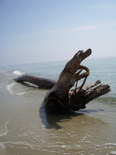 Résidence Santa, Hôtel à Ghisonaccia