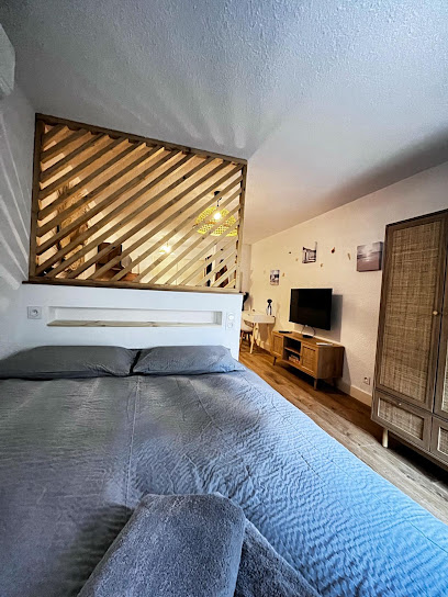 Studio Le Lagoon - Bourgoin Centre - Location Hôtel à Bourgoin-Jallieu