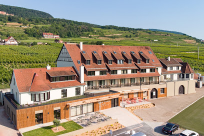 Hôtel Terra Vinum Hôtel à Gueberschwihr