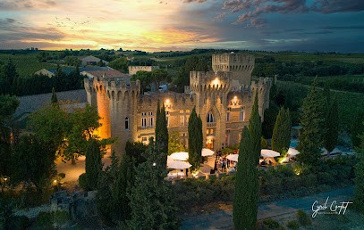 Hostellerie Château Des Fines Roches, Hôtel à Châteauneuf-du-Pape