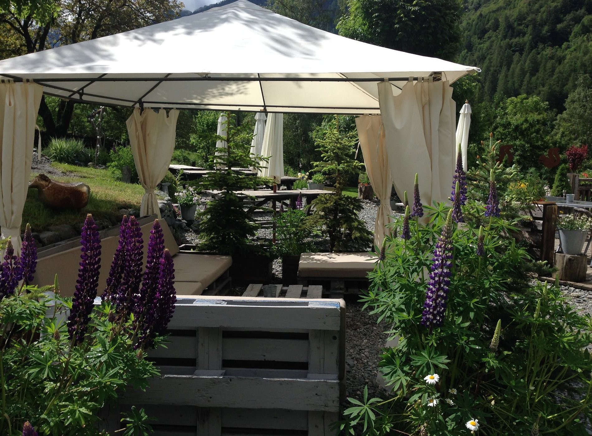 Auberge Gaillard, Hôtel à La Motte-en-Champsaur