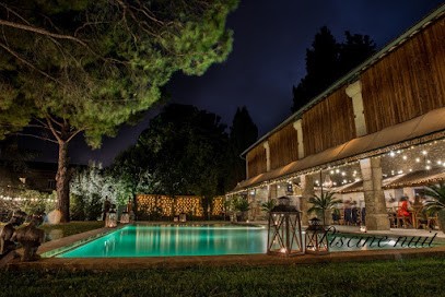 Mas des Comtes de Provence, Hôtel à Tarascon