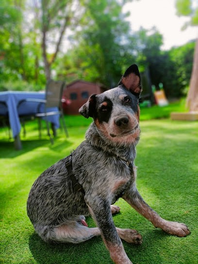 4 Pat'Hôtel, Hôtel à Coin-lès-Cuvry