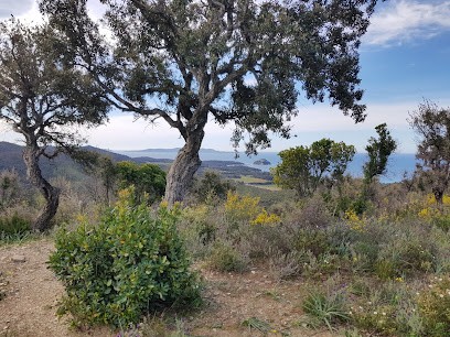 Odalys, Hôtel à La Londe-les-Maures