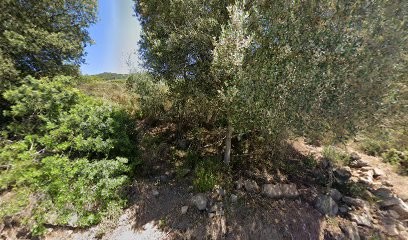 Le Panoramique, Hôtel à Coti-Chiavari