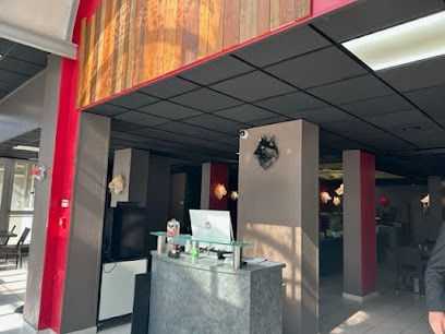 Hotel Saphir Lyon, Hôtel à Lyon 09