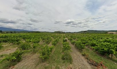 Palacio San Blas, Hôtel à Mazan