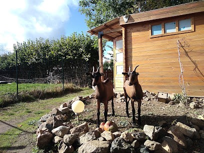 Yourte mongole, Hôtel à Huriel