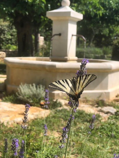 L' Arbre Du Magnan, Résidence Hôtelière à Chandolas