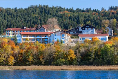 Hôtel SPA Les Rives Sauvages, Hôtel à Malbuisson