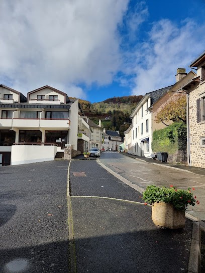 Logis Hôtel l'Elancèze, Hôtel à Thiézac