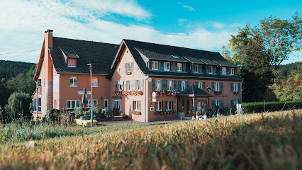 Hôtel Des Vosges - Hôtel Birkenwald Hôtel à Sommerau