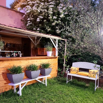 Hôtel-Restaurant Le Terminus, Hôtel à L'Arbresle