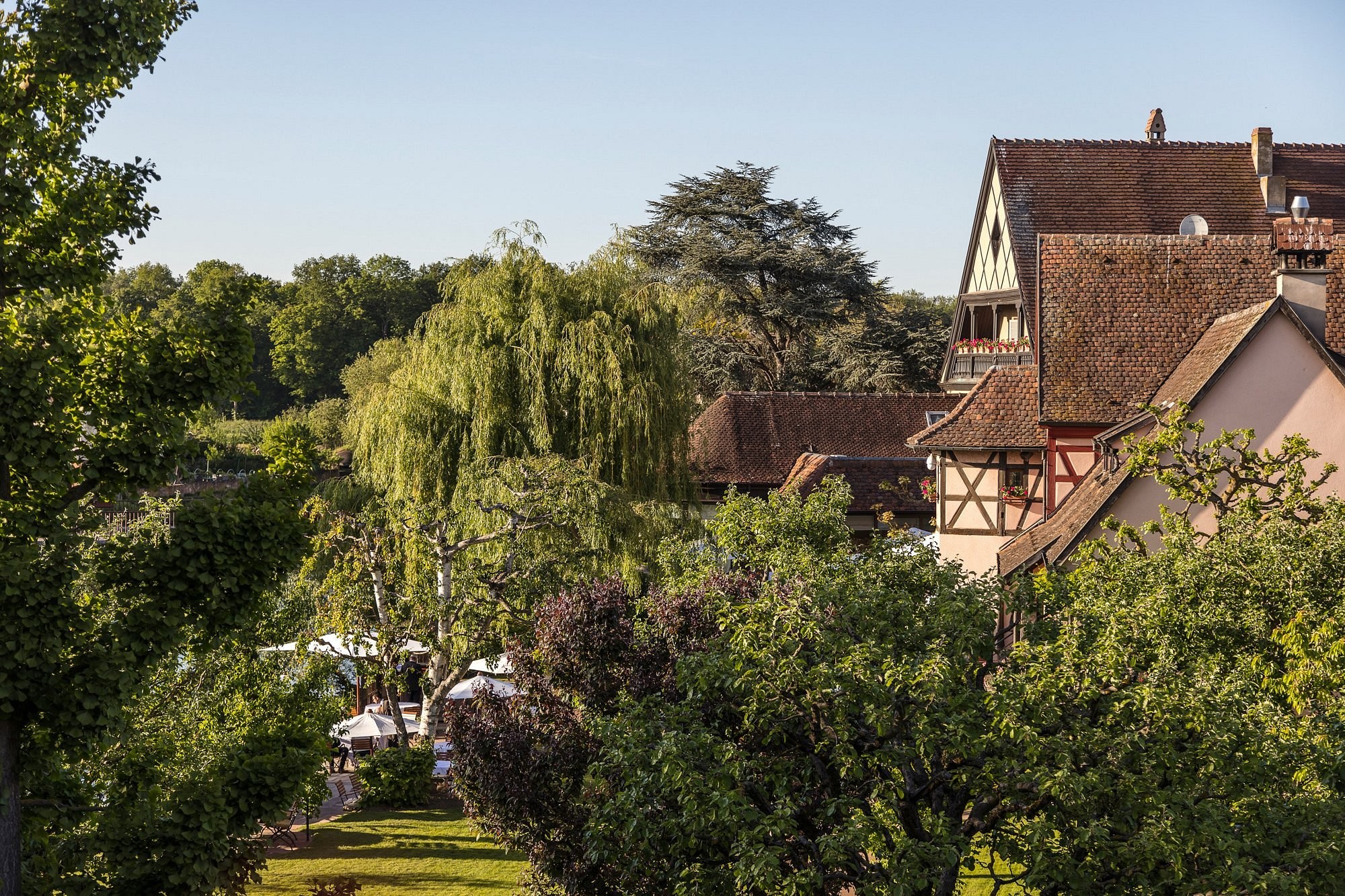 Hôtel Des Berges [Haeberlin], Hôtel à Illhaeusern