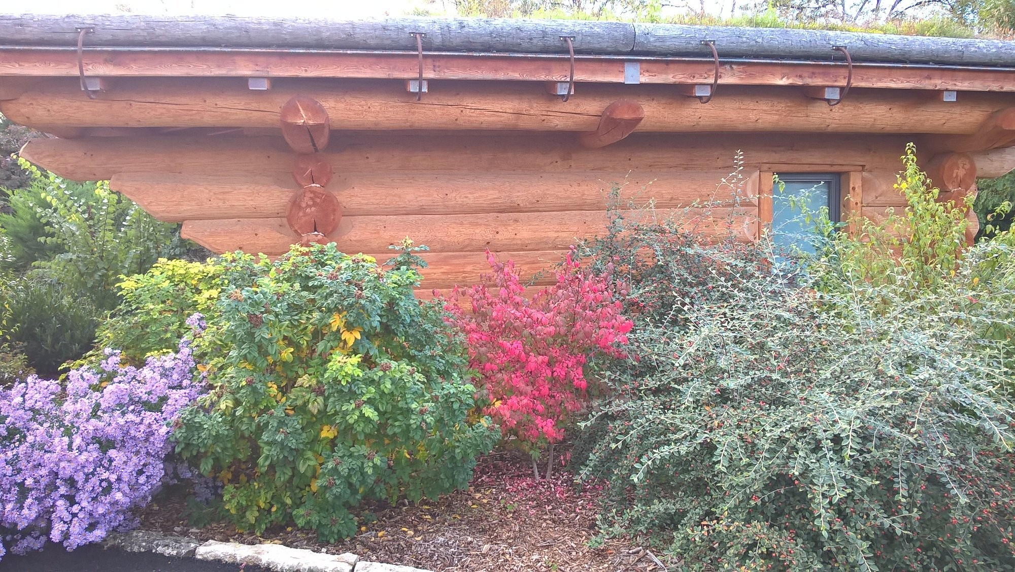 Les Chalets De Maramour, Hôtel à Chazey-sur-Ain