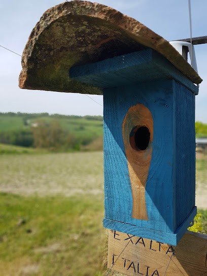 Gite équestre, Hôtel à Cazes-Mondenard