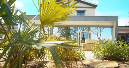 Relais 500 De Vienne, Hôtel à Chonas-l'Amballan