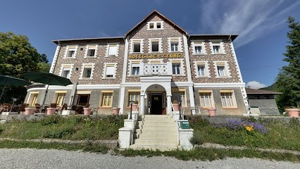 Hôtel Lac Et Forêt, Hôtel à Saint-André-les-Alpes