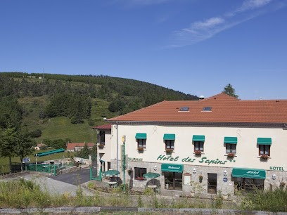 Hotel Des Sapins, Hôtel à Lanarce
