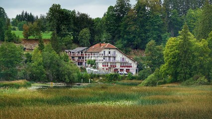 Hotel Des Sapins Et Du Lac, Hôtel à Oye-et-Pallet