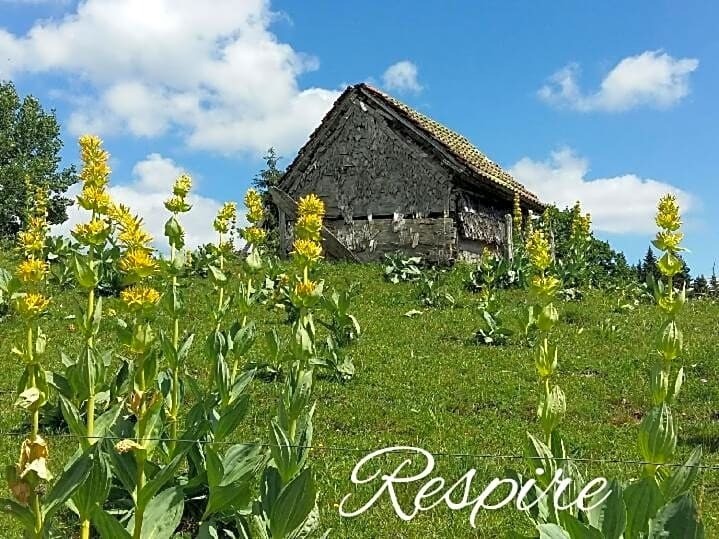 Hôtel Le Lodge, Hôtel aux Rousses